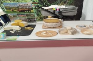 Queso de Vaca Amarello