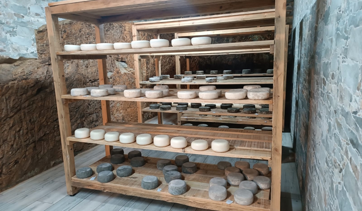 BodegaCasaDonicio (1)