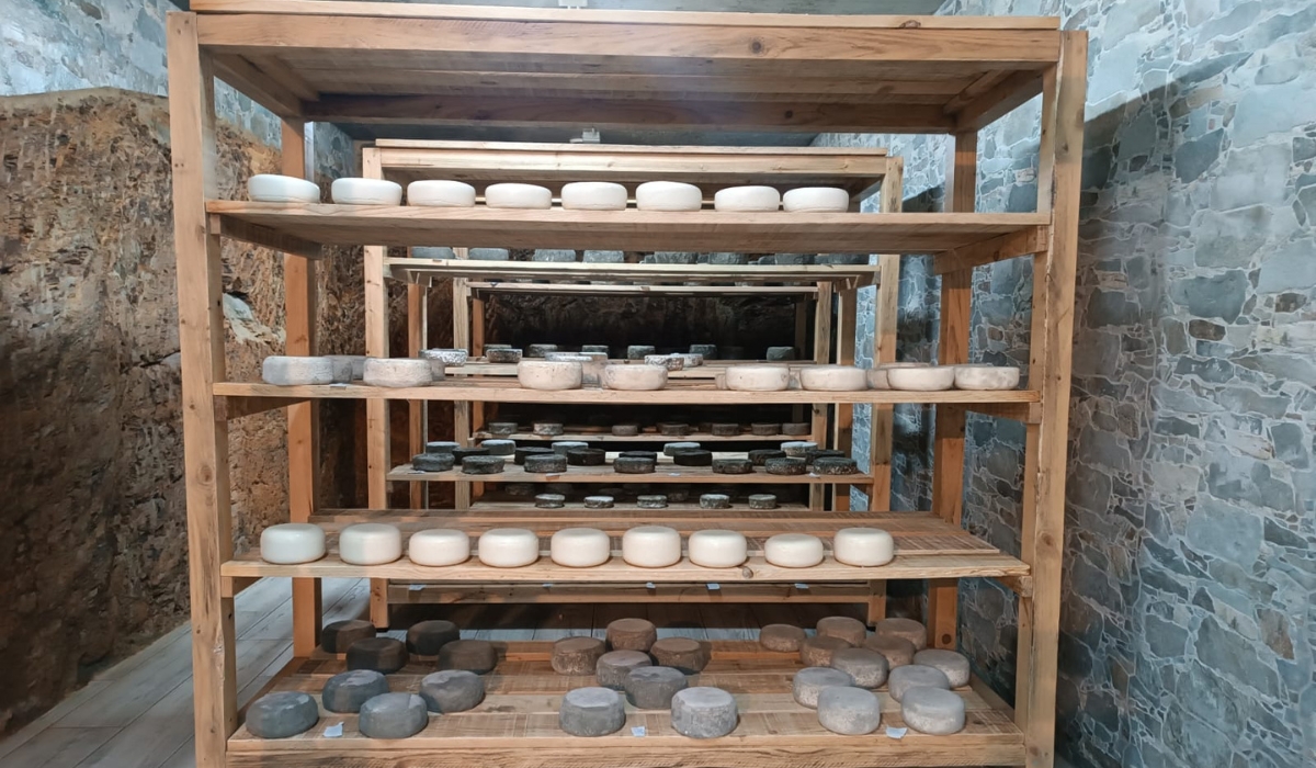 BodegaCasaDonicio (2)