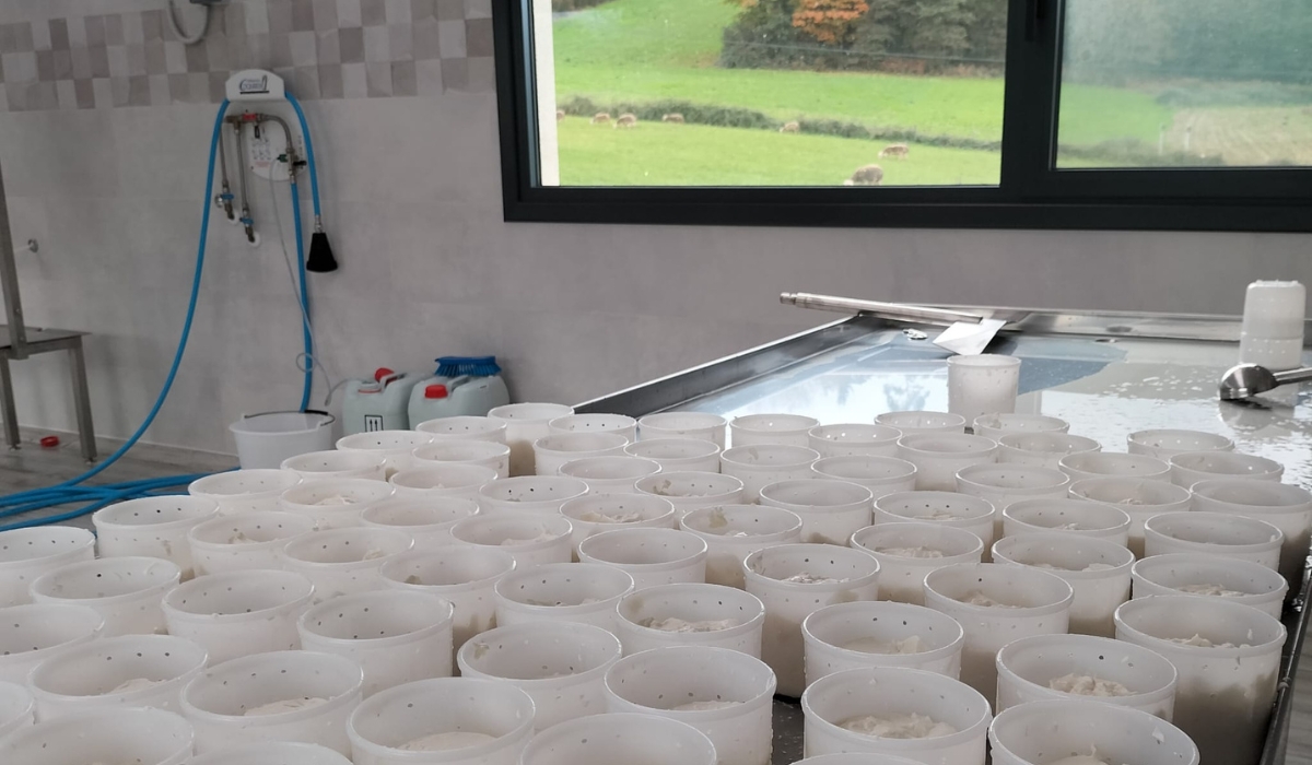 BodegaCasaDonicio (3)