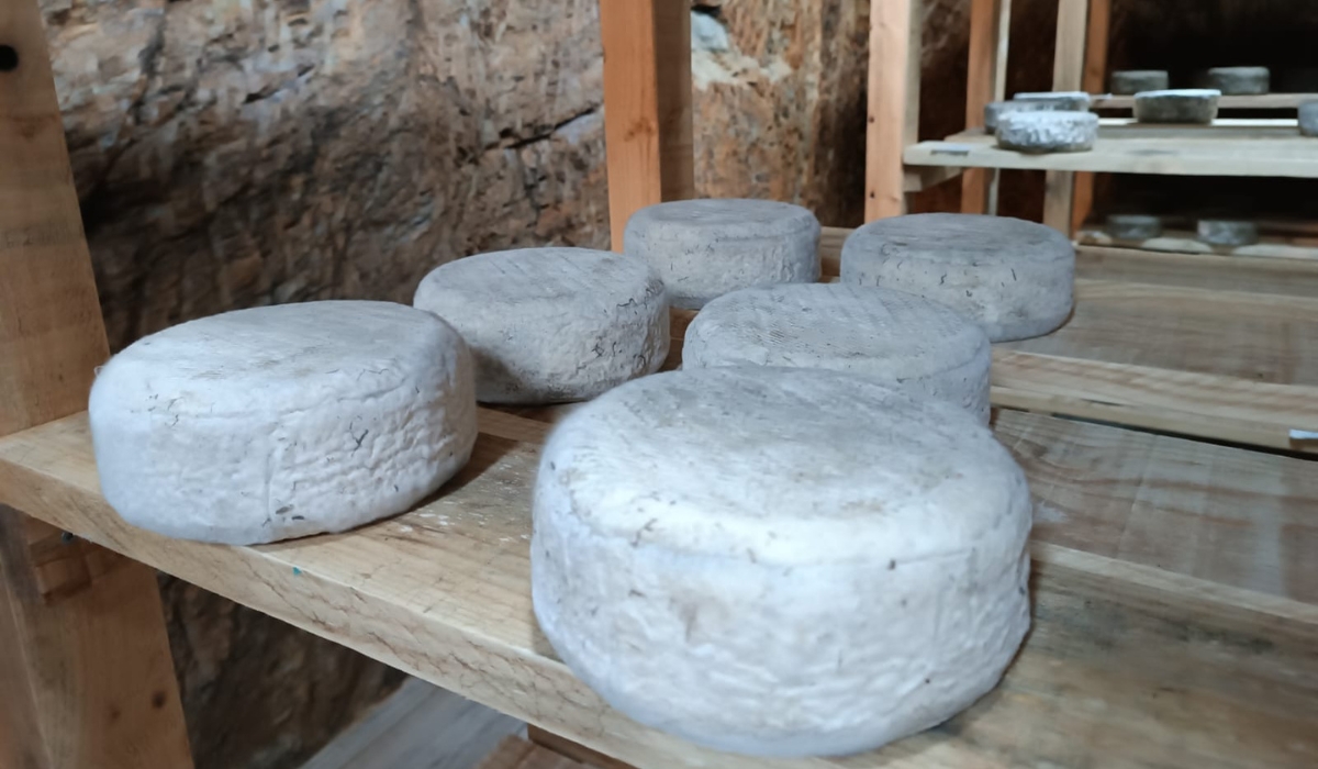 BodegaCasaDonicio (8)