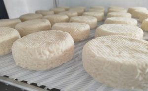 Queso de Cabra Meniña