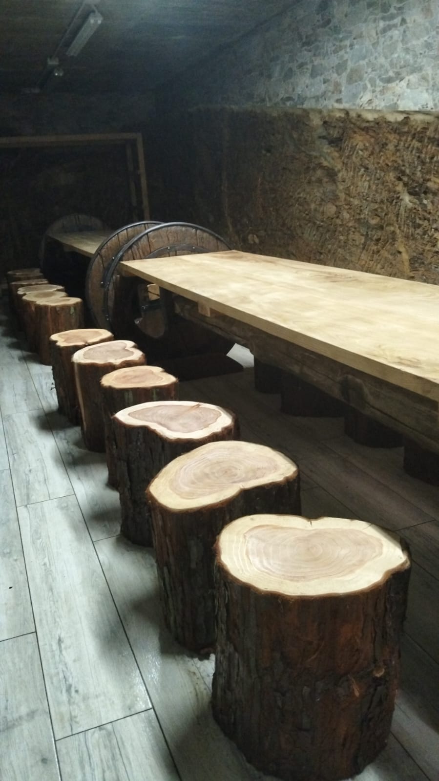 BODEGA CATA 4